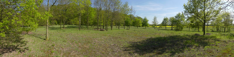 Foto: Panorama vom Sandmagerrasen am Loisberg